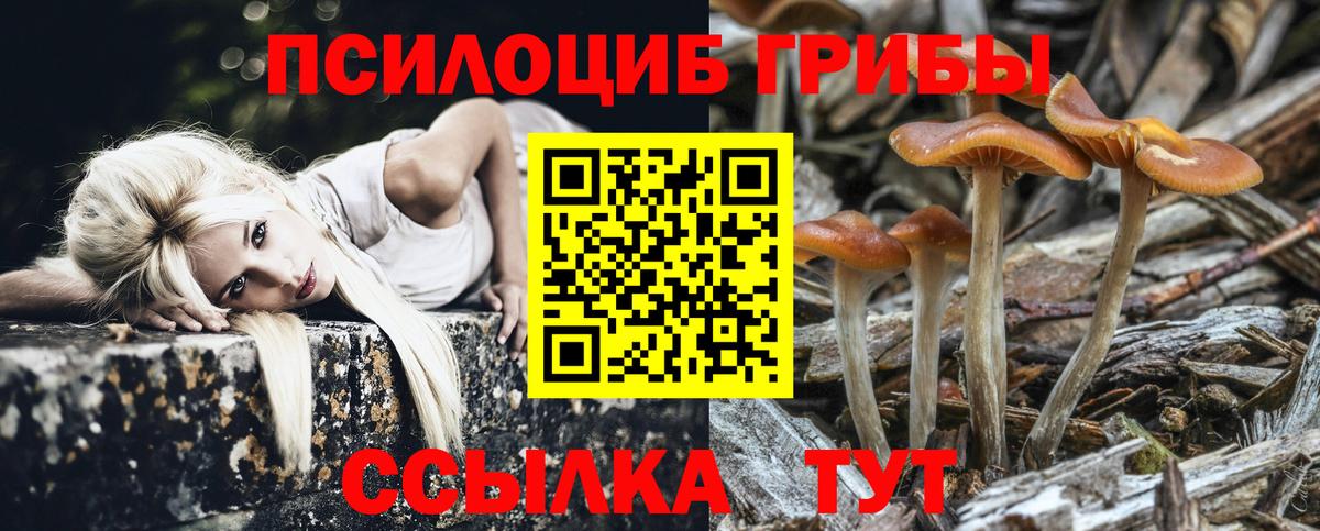 как найти закладки  Галлюциногенные грибы Cubensis  Вход с VPN  Сокол 