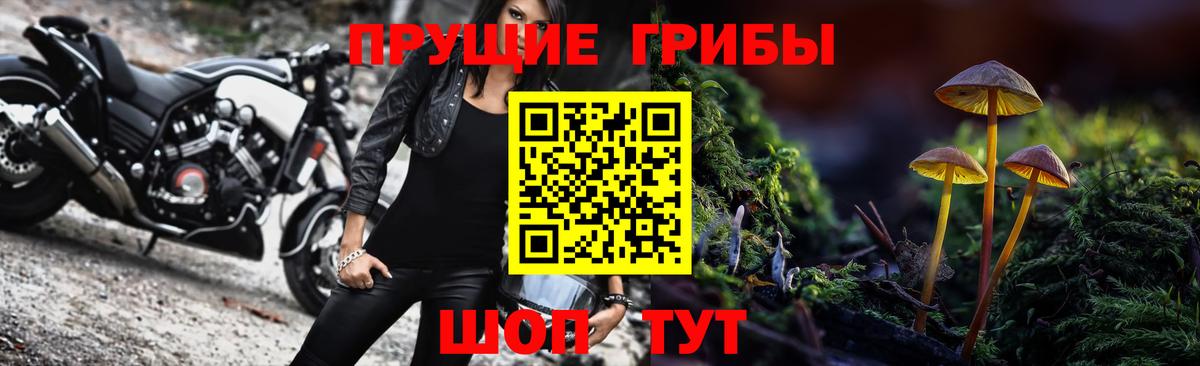 Галлюциногенные грибы Psilocybine cubensis Сокол