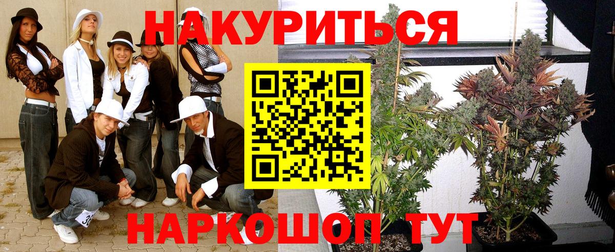 Каннабис индика Сокол